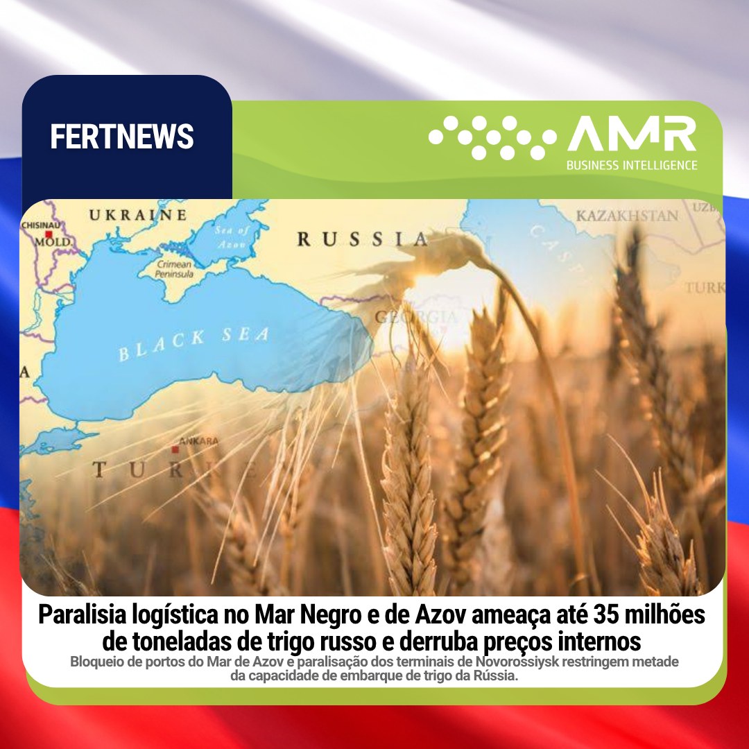 Capa da postagem Paralisia logística no Mar Negro e de Azov ameaça até 35 milhões de toneladas de trigo russo e derruba preços internos