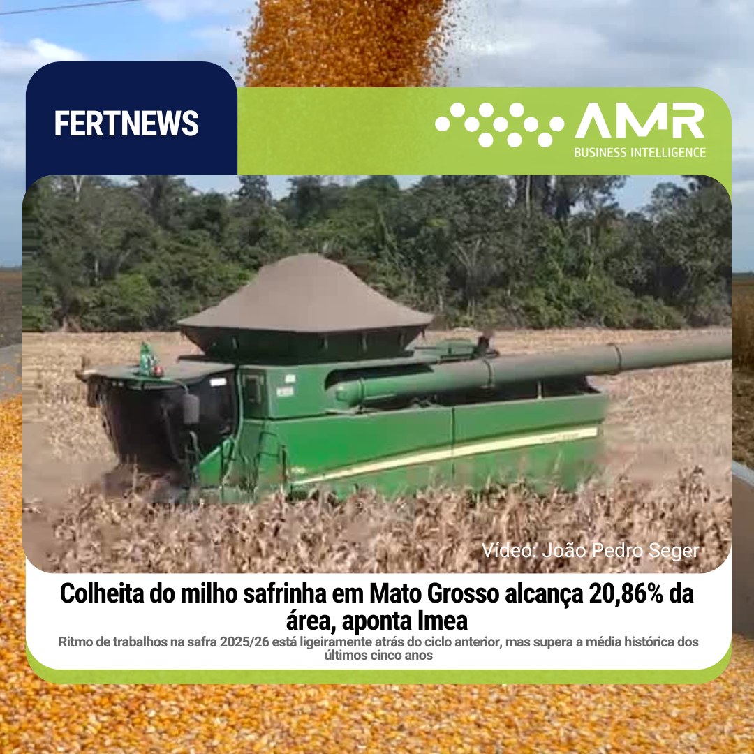 Capa da postagem Colheita do milho safrinha em Mato Grosso alcança 20,86% da área, aponta Imea