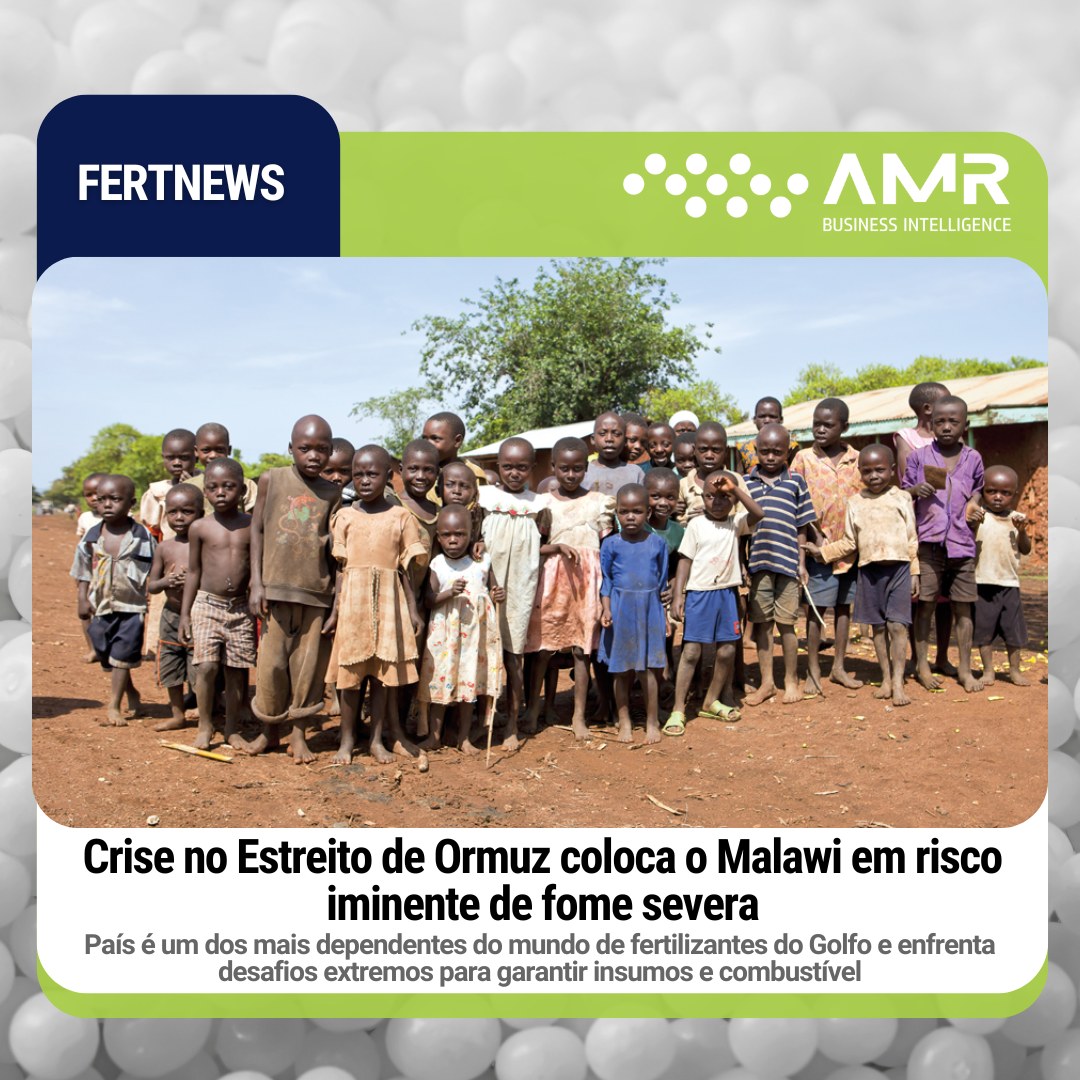 Capa da postagem Crise no Estreito de Ormuz coloca o Malawi em risco iminente de fome severa