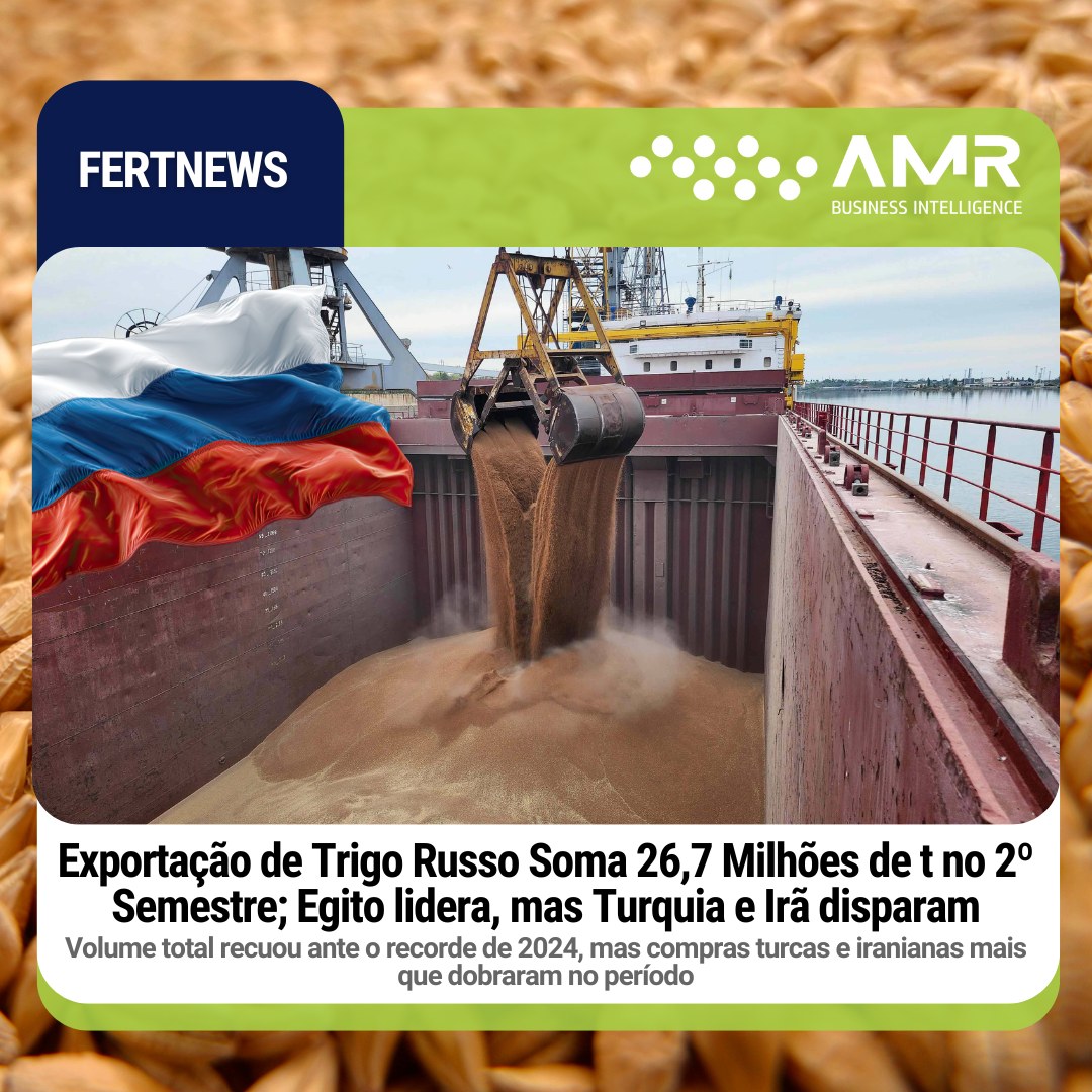 Capa da postagem Exportação de Trigo Russo Soma 26,7 Milhões de t no 2º Semestre; Egito lidera, mas Turquia e Irã disparam