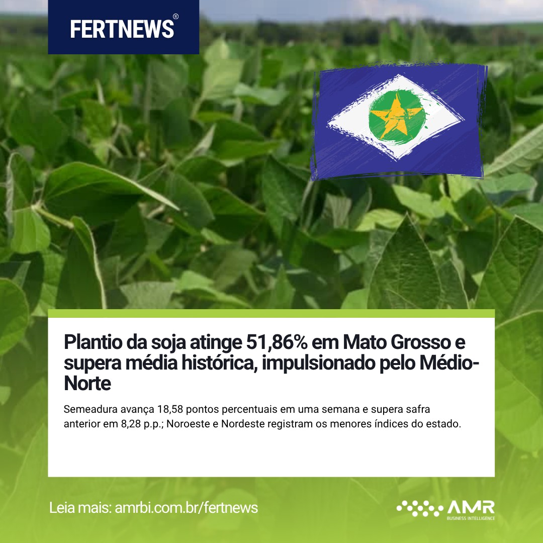 Plantio de soja supera média histórica em Mato Grosso