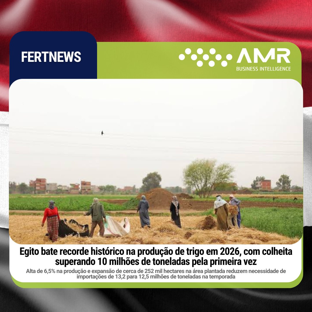Capa da postagem Egito bate recorde histórico na produção de trigo em 2026, com colheita superando 10 milhões de toneladas pela primeira vez