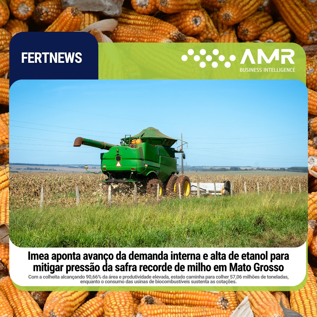 Capa da postagem Imea aponta avanço da demanda interna e alta de etanol para mitigar pressão da safra recorde de milho em Mato Grosso