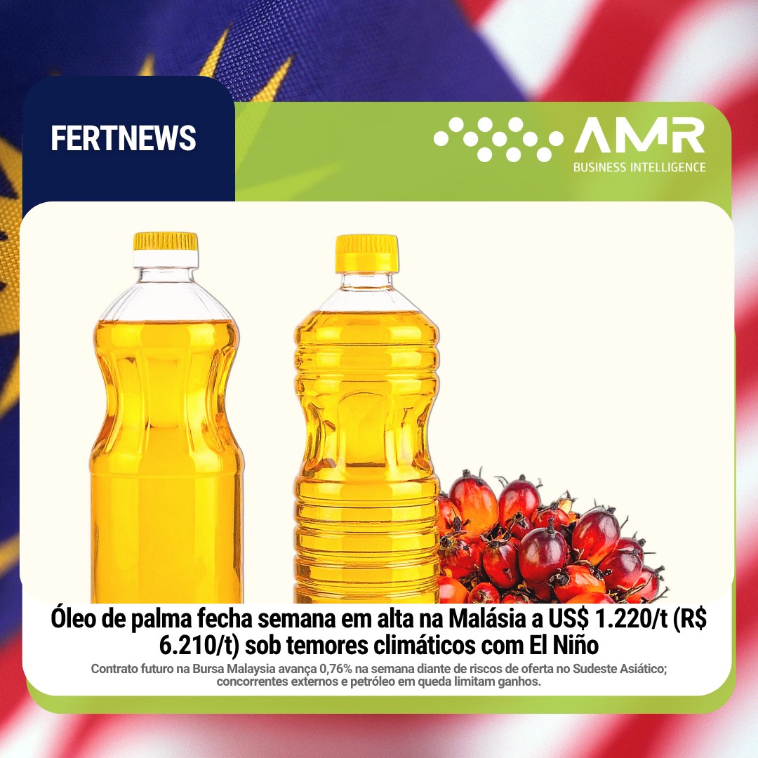 Capa da postagem Óleo de palma fecha semana em alta na Malásia a US$ 1.220/t (R$ 6.210/t) sob temores climáticos com El Niño