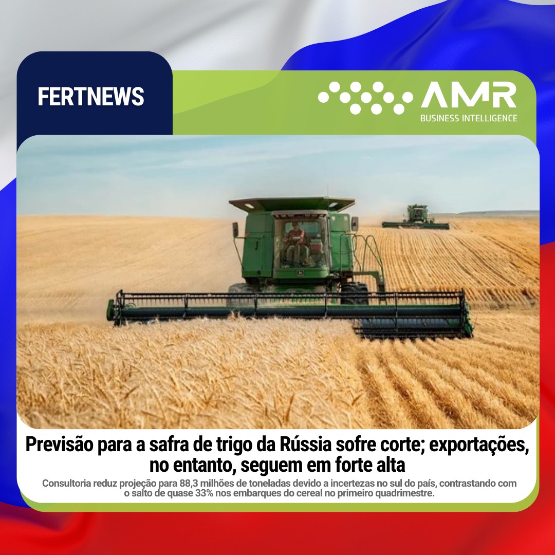 Capa da postagem Previsão para a safra de trigo da Rússia sofre corte; exportações, no entanto, seguem em forte alta