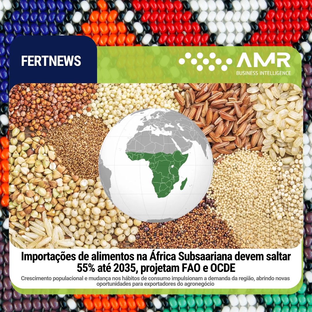 Capa da postagem Importações de alimentos na África Subsaariana devem saltar 55% até 2035, projetam FAO e OCDE