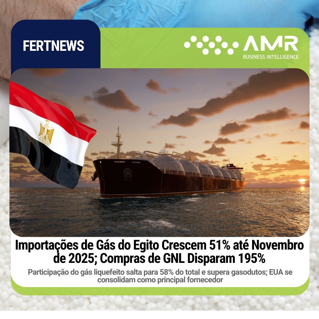 Capa da postagem Importações de Gás do Egito Crescem 51% até Novembro de 2025; Compras de GNL Disparam 195%