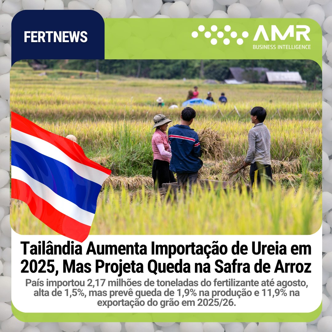 Capa da postagem Tailândia Aumenta Importação de Ureia em 2025, Mas Projeta Queda na Safra de Arroz