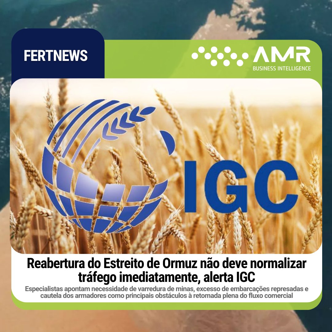 Capa da postagem Reabertura do Estreito de Ormuz não deve normalizar tráfego imediatamente, alerta IGC