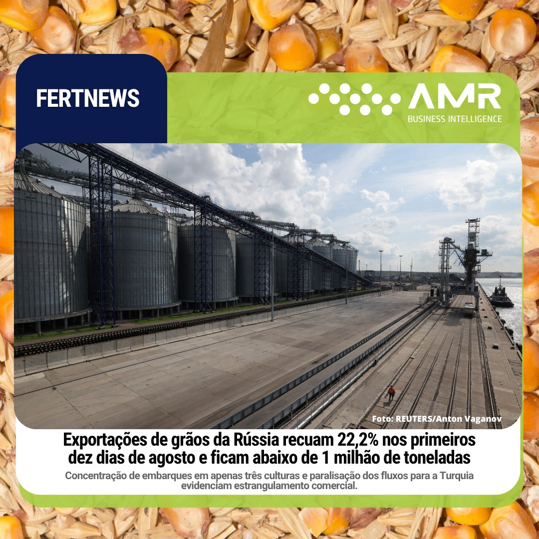 Capa da postagem Exportações de grãos da Rússia recuam 22,2% nos primeiros dez dias de agosto e ficam abaixo de 1 milhão de toneladas