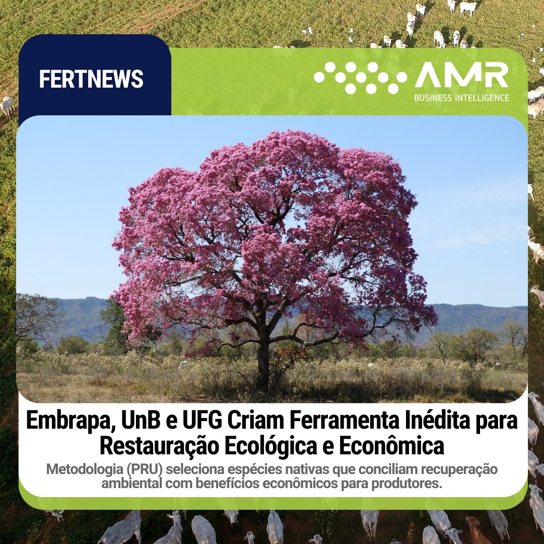 Capa da postagem Embrapa, UnB e UFG Criam Ferramenta Inédita para Restauração Ecológica e Econômica