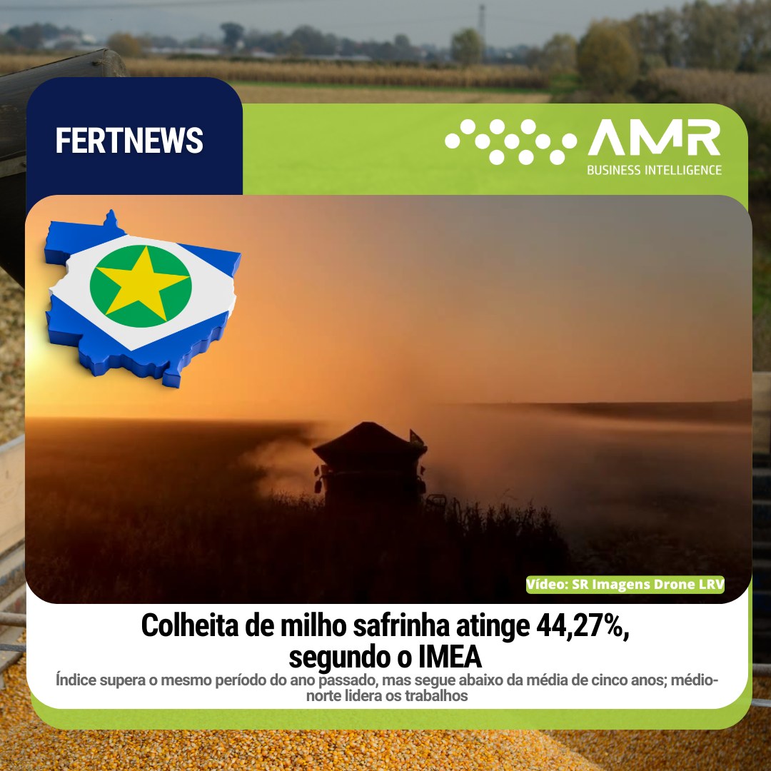 Capa da postagem Colheita de milho safrinha atinge 44,27%, segundo o IMEA