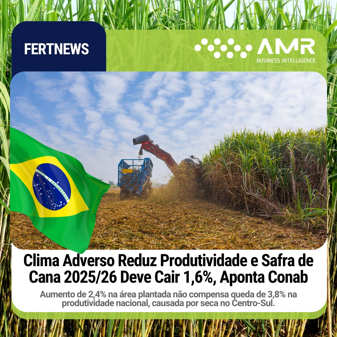 Capa da postagem Clima Adverso Reduz Produtividade e Safra de Cana 2025/26 Deve Cair 1,6%, Aponta Conab