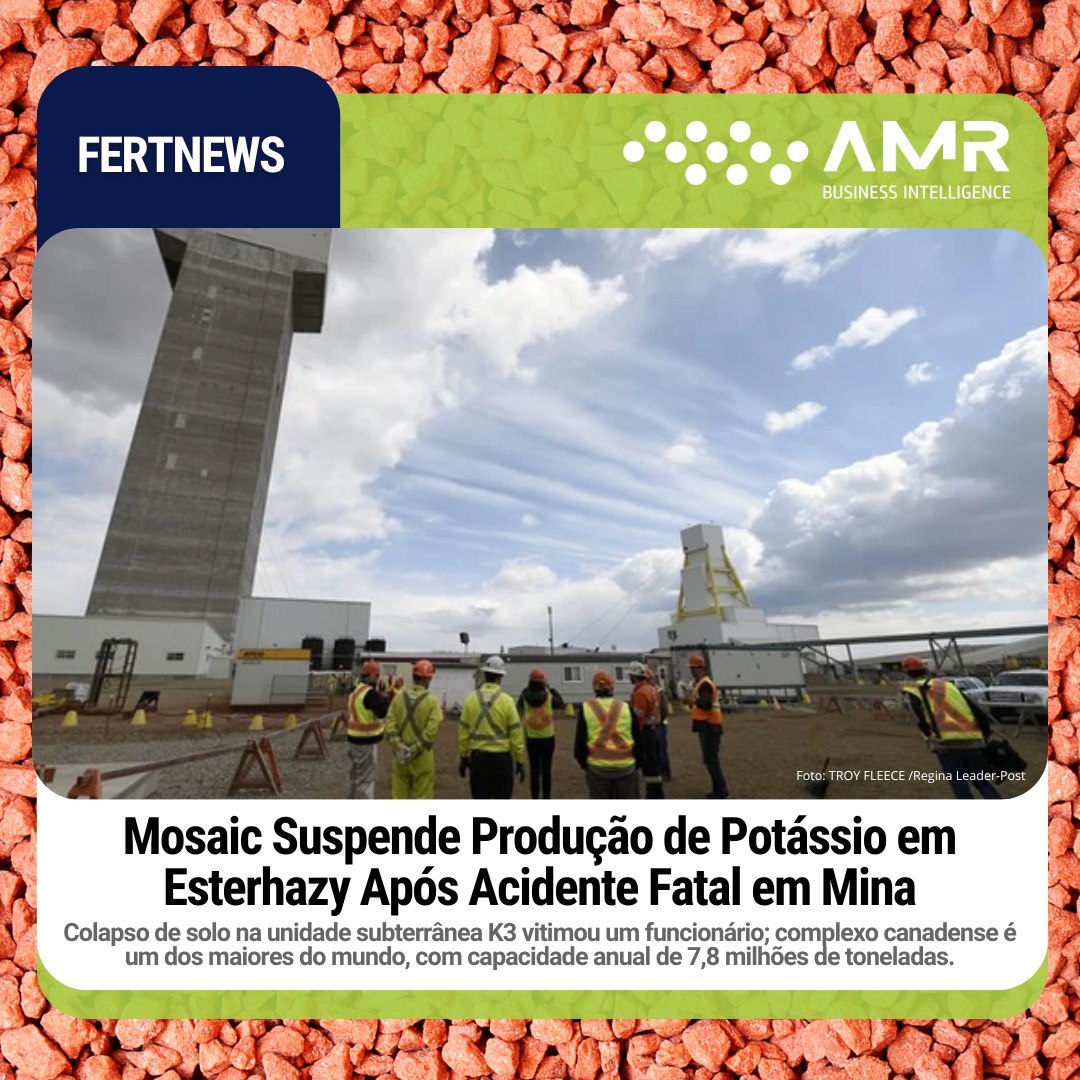 Capa da postagem Mosaic Suspende Produção de Potássio em Esterhazy Após Acidente Fatal em Mina
