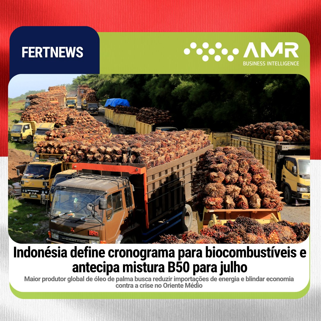Capa da postagem Indonésia define cronograma para biocombustíveis e antecipa mistura B50 para julho