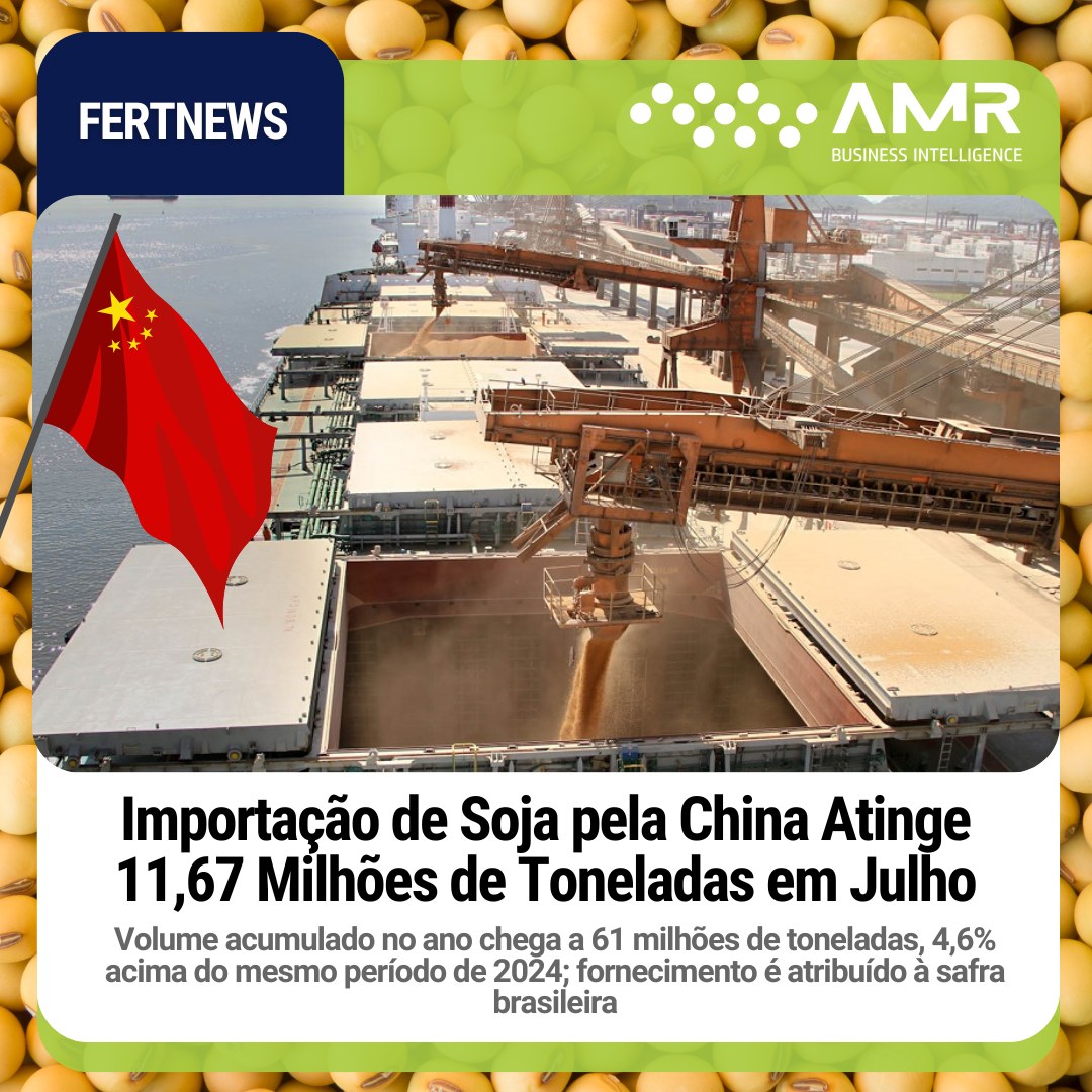 Capa da postagem Importação de Soja pela China Atinge 11,67 Milhões de Toneladas em Julho