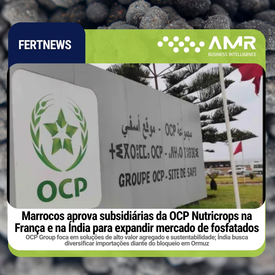 Capa da postagem Marrocos aprova subsidiárias da OCP Nutricrops na França e na Índia para expandir mercado de fosfatados
