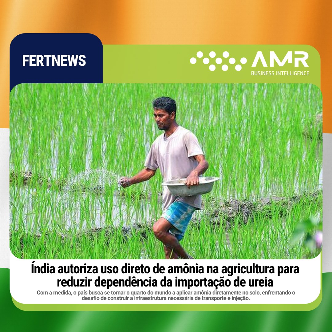 Capa da postagem Índia autoriza uso direto de amônia na agricultura para reduzir dependência da importação de ureia