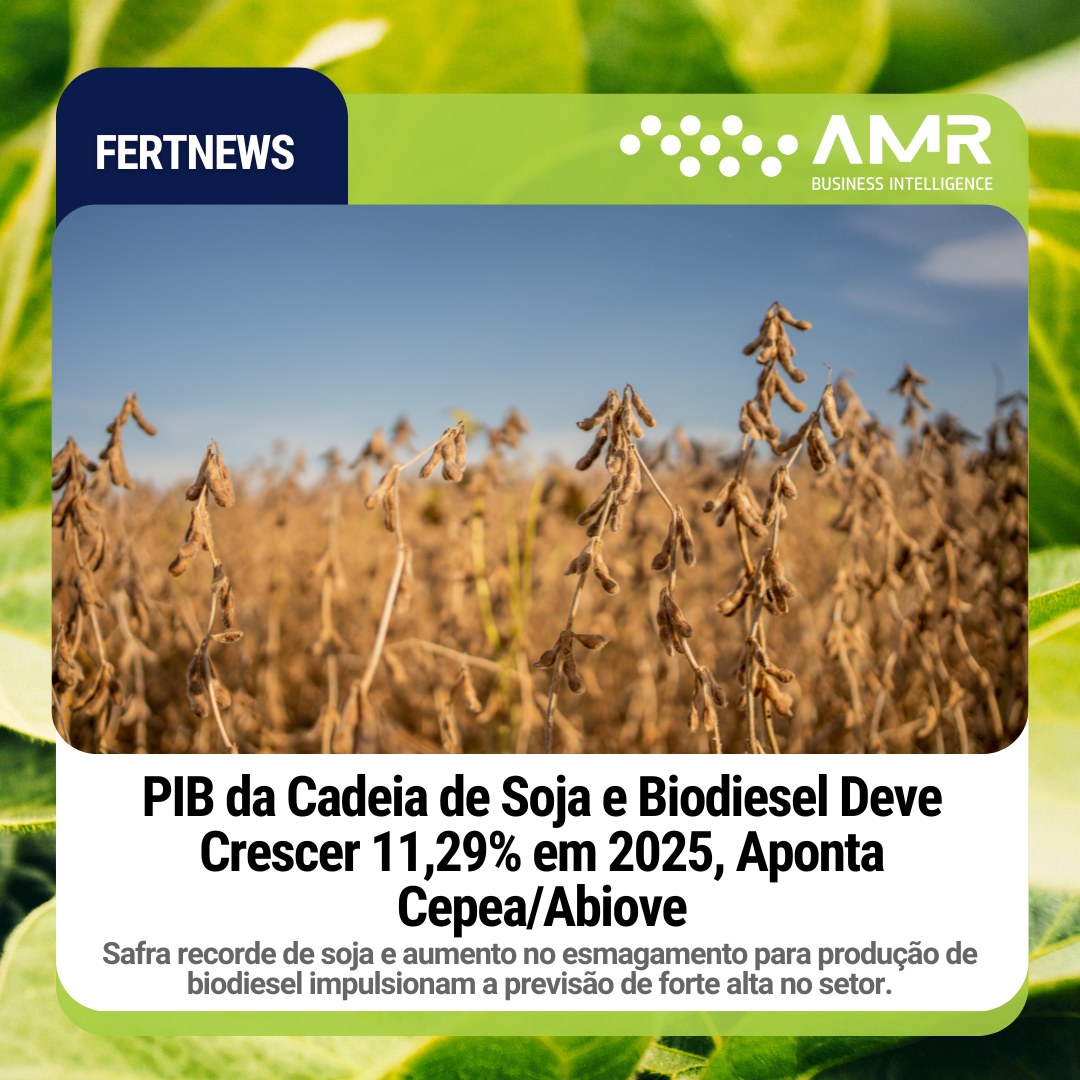 Capa da postagem PIB da Cadeia de Soja e Biodiesel Deve Crescer 11,29% em 2025, Aponta Cepea/Abiove