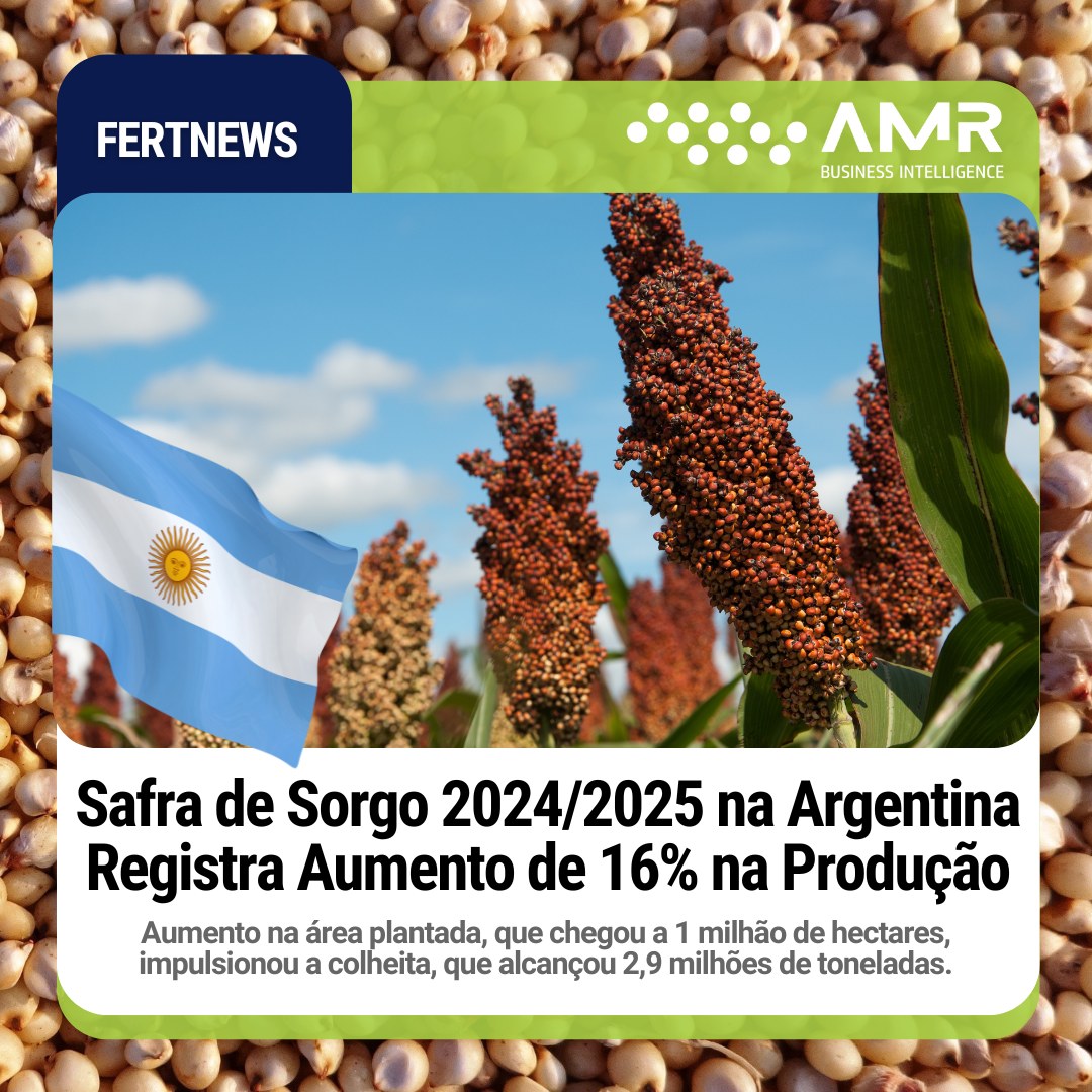 Capa da postagem Safra de Sorgo 2024/2025 na Argentina Registra Aumento de 16% na Produção