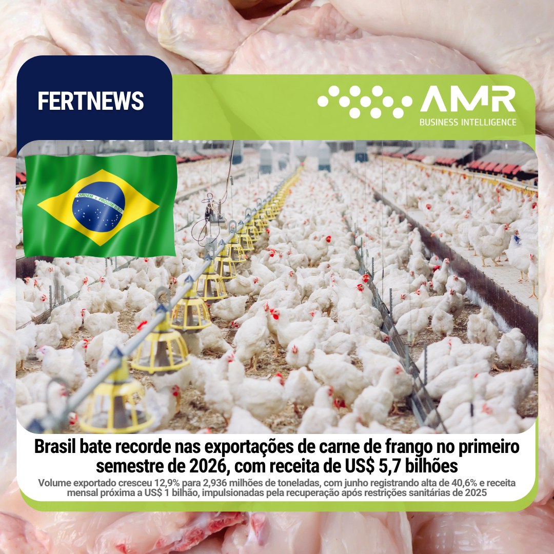 Capa da postagem Brasil bate recorde nas exportações de carne de frango no primeiro semestre de 2026, com receita de US$ 5,7 bilhões
