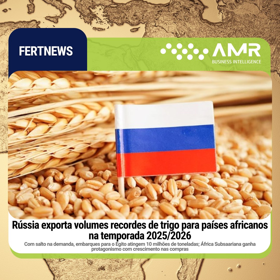 Capa da postagem Rússia exporta volumes recordes de trigo para países africanos na temporada 2025/2026