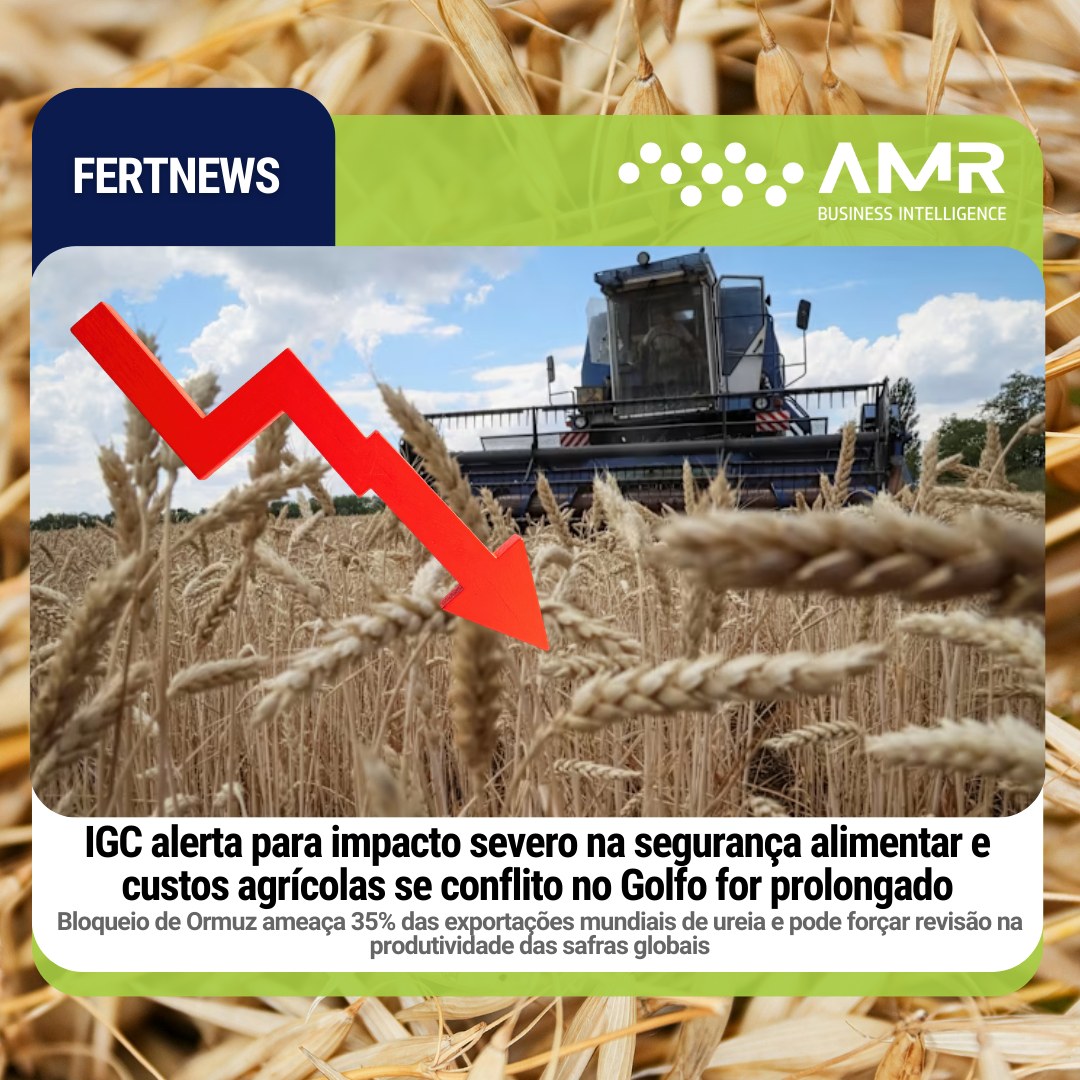 Capa da postagem IGC alerta para impacto severo na segurança alimentar e custos agrícolas se conflito no Golfo for prolongado