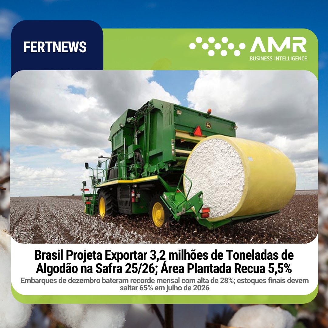 Capa da postagem Brasil Projeta Exportar 3,2 milhões de Toneladas de Algodão na Safra 25/26; Área Plantada Recua 5,5%