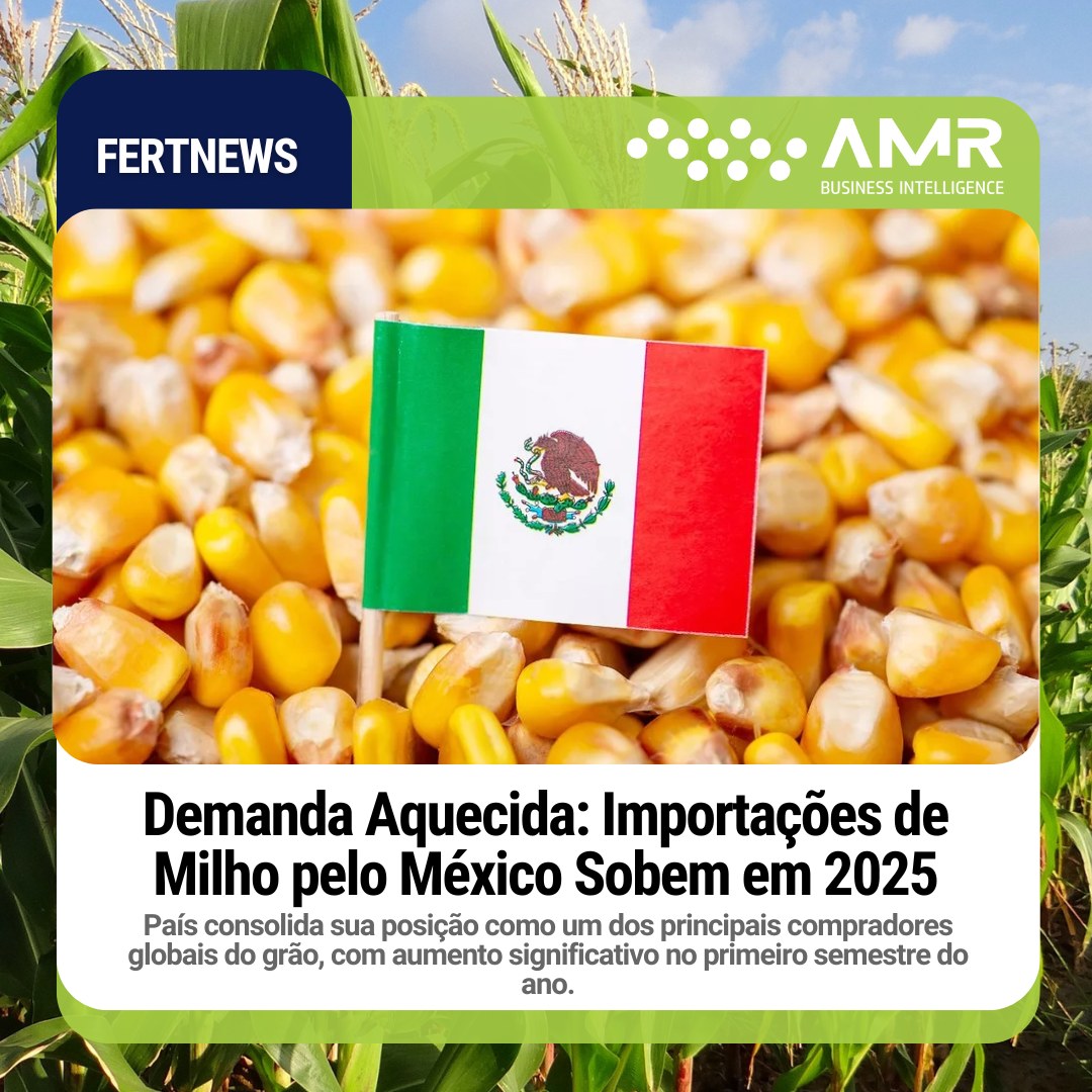 Capa da postagem Demanda Aquecida: Importações de Milho pelo México Sobem em 2025
