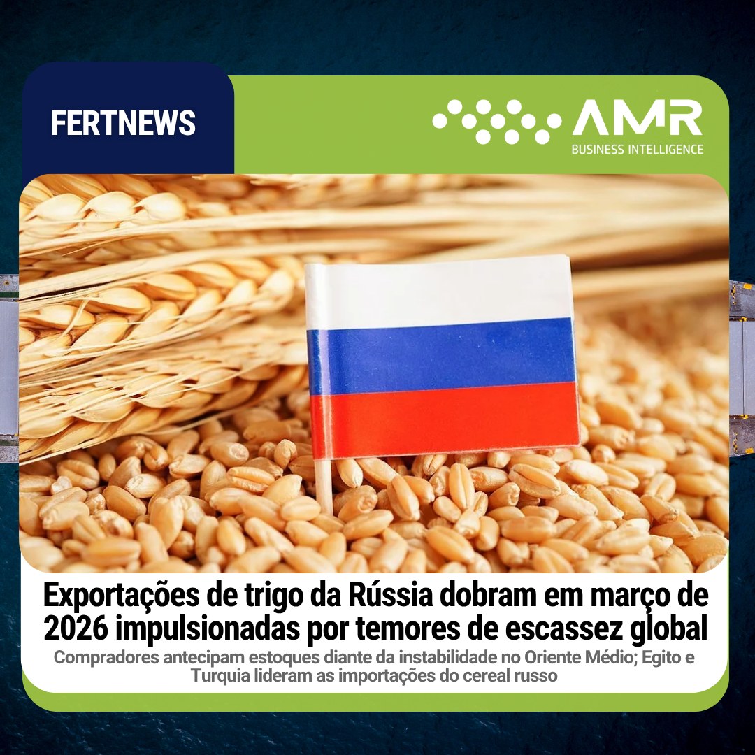 Capa da postagem Exportações de trigo da Rússia dobram em março de 2026 impulsionadas por temores de escassez global
