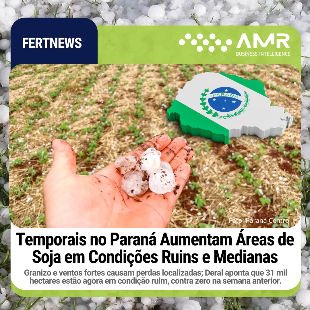 Capa da postagem Temporais no Paraná Aumentam Áreas de Soja em Condições Ruins e Medianas