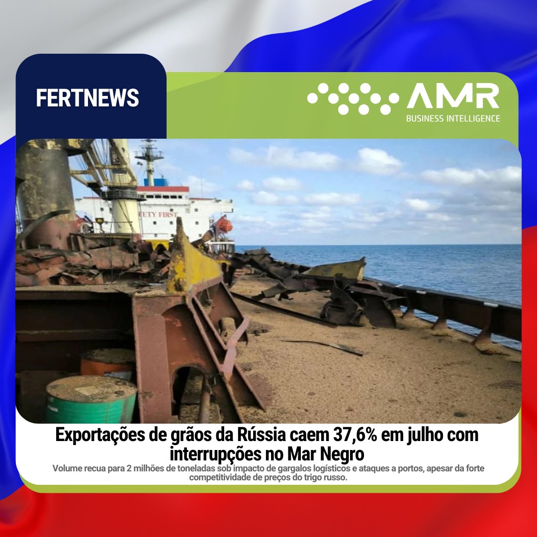 Capa da postagem Exportações de grãos da Rússia caem 37,6% em julho com interrupções no Mar Negro