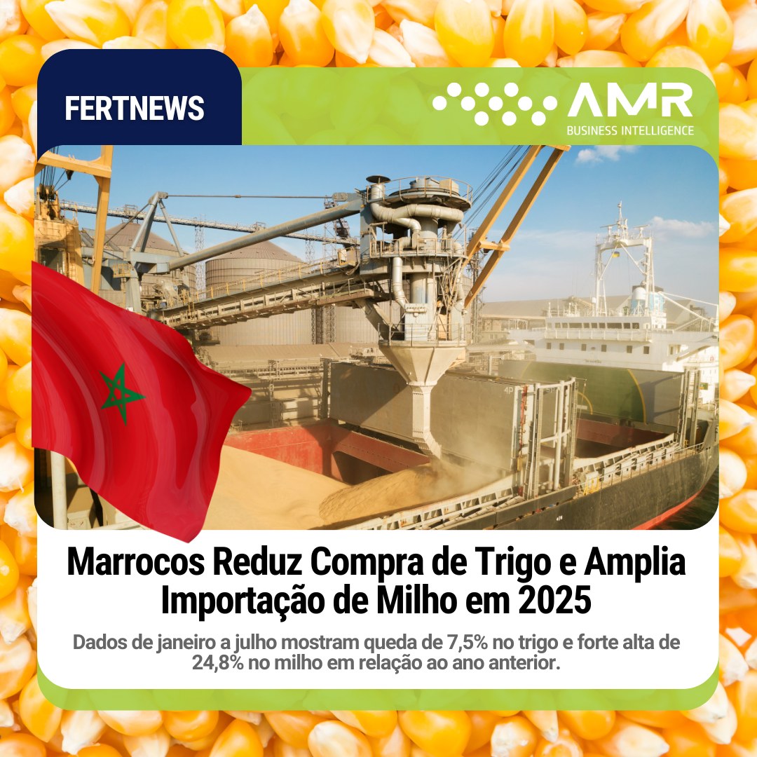 Capa da postagem Marrocos Reduz Compra de Trigo e Amplia Importação de Milho em 2025