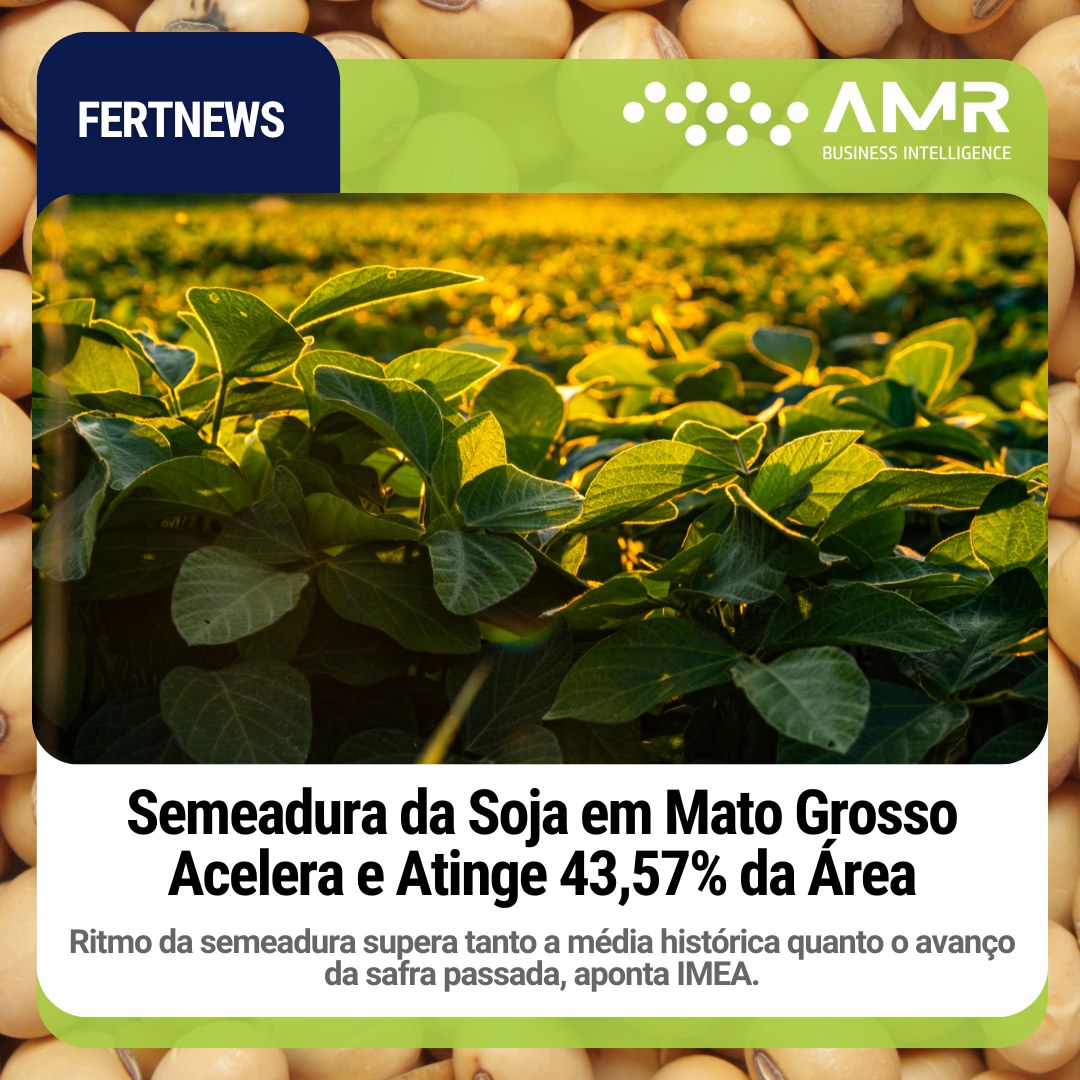 Capa da postagem Semeadura da Soja em Mato Grosso Acelera e Atinge 43,57% da Área