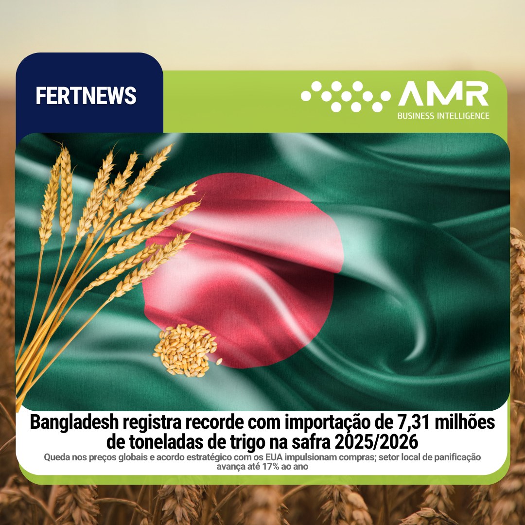 Capa da postagem Bangladesh registra recorde com importação de 7,31 milhões de toneladas de trigo na safra 2025/2026