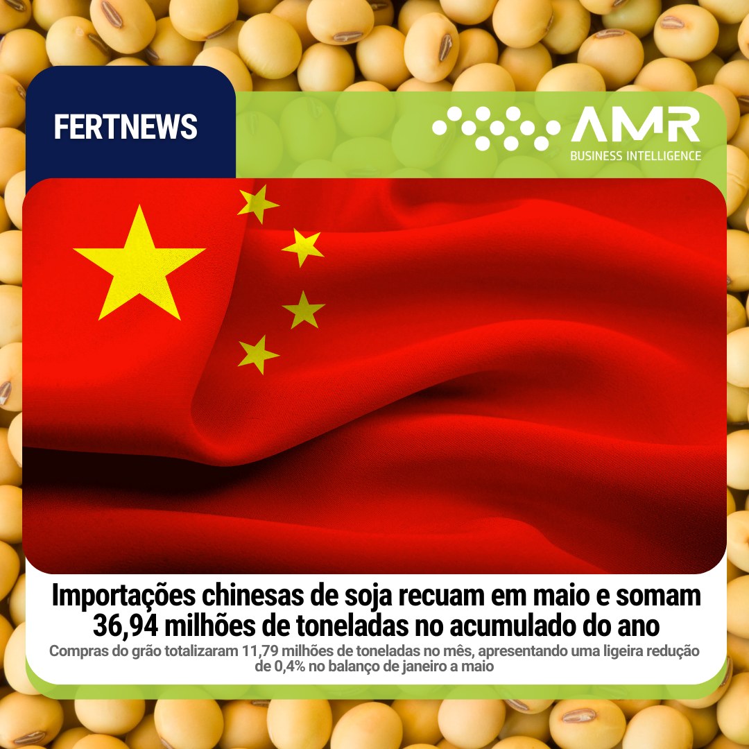 Capa da postagem Importações chinesas de soja recuam em maio e somam 36,94 milhões de toneladas no acumulado do ano