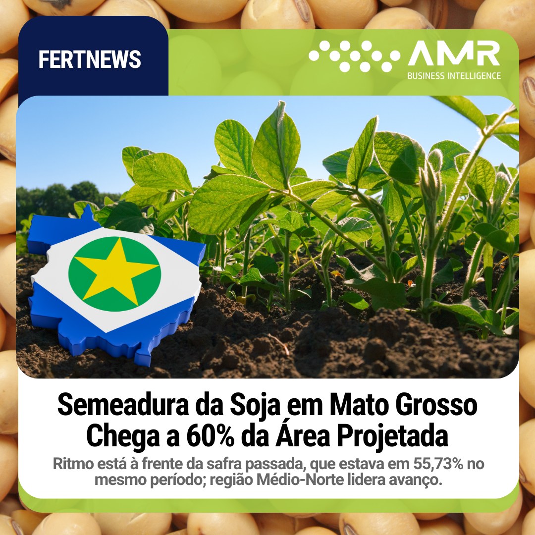 Capa da postagem Semeadura da Soja em Mato Grosso Chega a 60% da Área Projetada