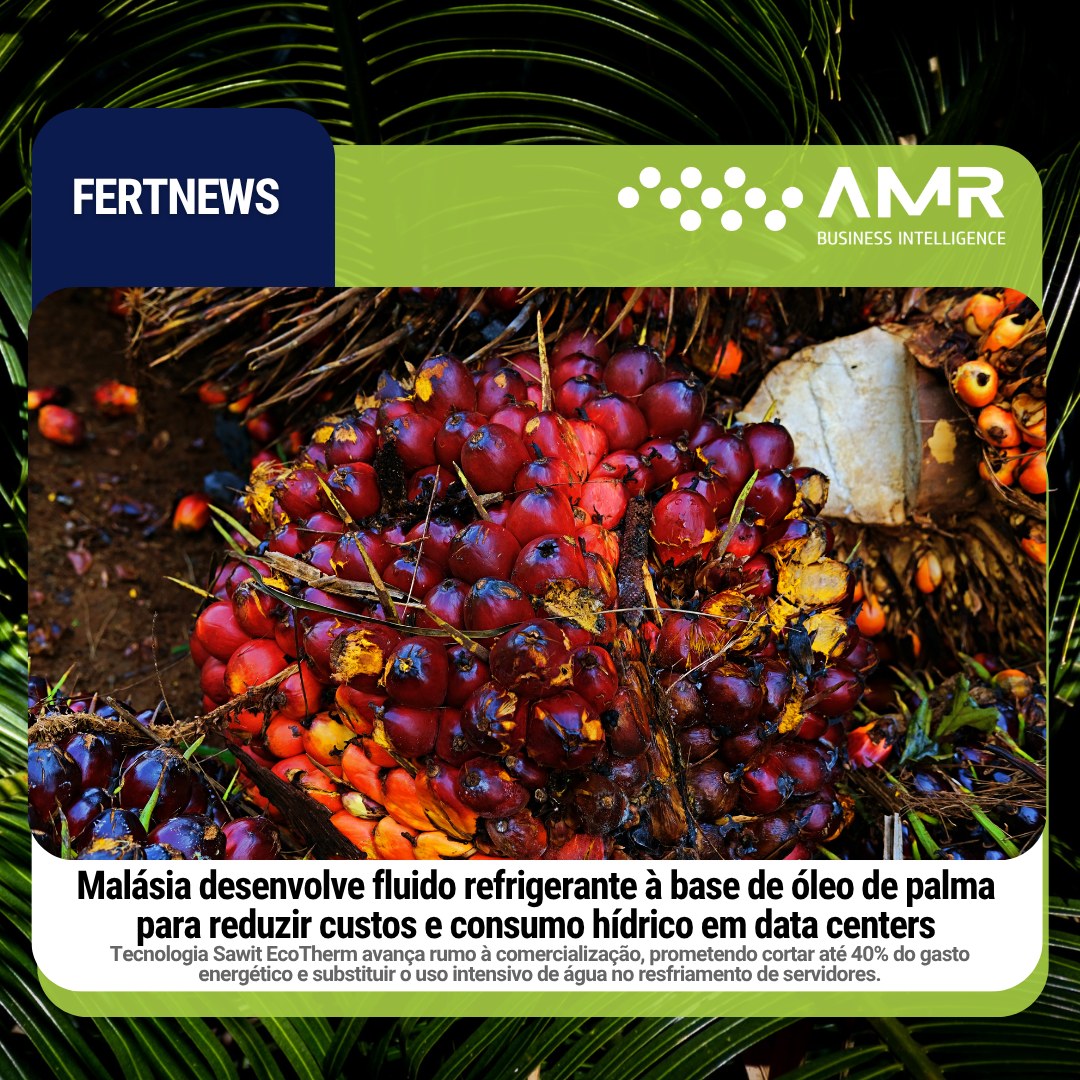 Capa da postagem Malásia desenvolve fluido refrigerante à base de óleo de palma para reduzir custos e consumo hídrico em data centers