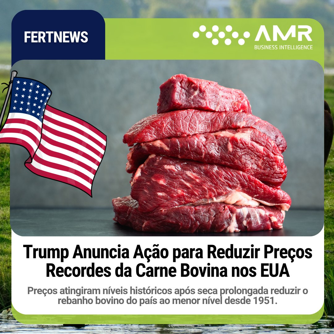 Capa da postagem Trump Anuncia Ação para Reduzir Preços Recordes da Carne Bovina nos EUA