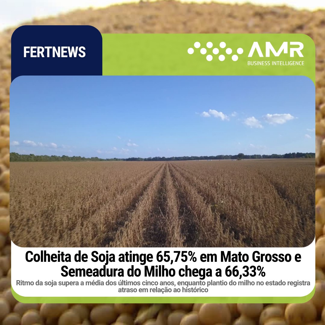 Capa da postagem Colheita de Soja atinge 65,75% em Mato Grosso e Semeadura do Milho chega a 66,33%