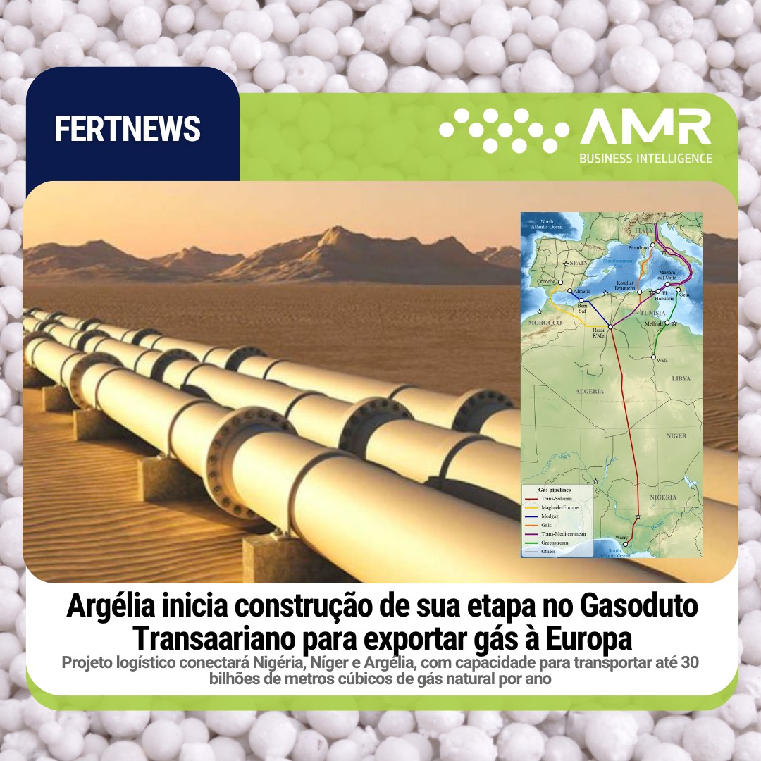 Capa da postagem Argélia inicia construção de sua etapa no Gasoduto Transaariano para exportar gás à Europa