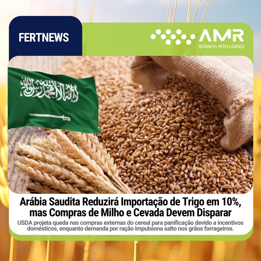 Capa da postagem Arábia Saudita Reduzirá Importação de Trigo em 10%, mas Compras de Milho e Cevada Devem Disparar