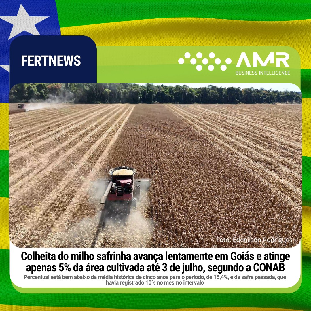 Capa da postagem Colheita do milho safrinha avança lentamente em Goiás e atinge apenas 5% da área cultivada até 3 de julho, segundo a CONAB