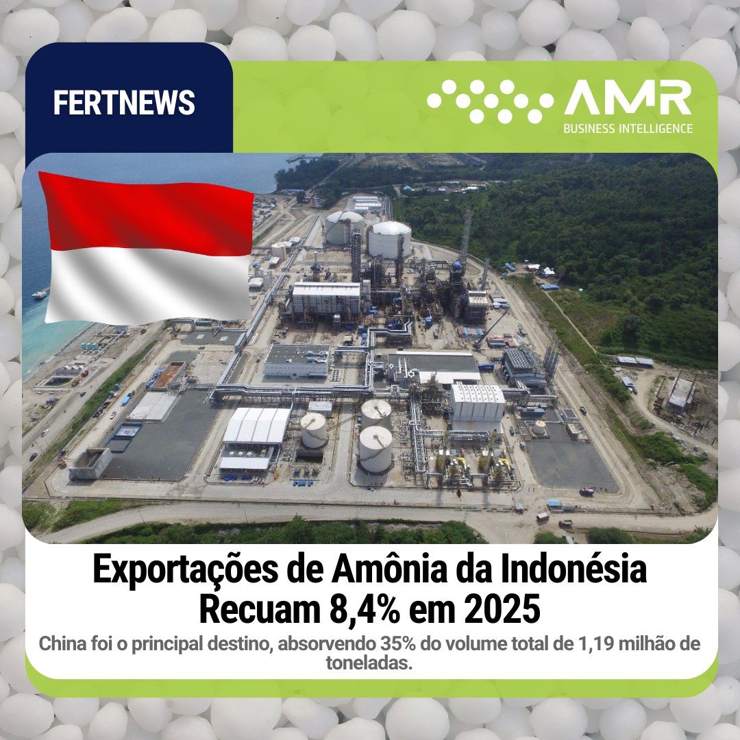 Capa da postagem Exportações de Amônia da Indonésia Recuam 8,4% em 2025