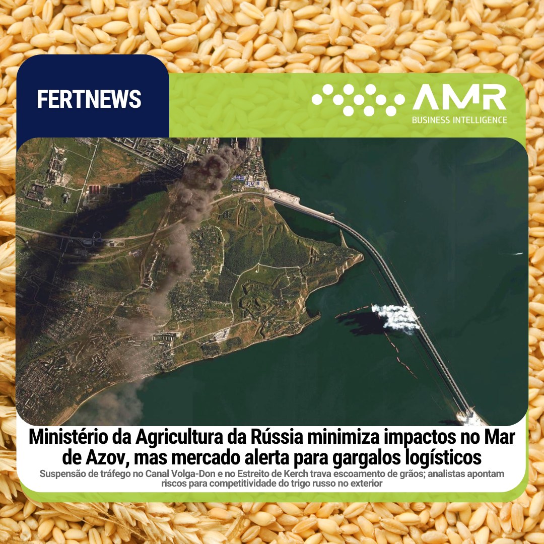 Capa da postagem Ministério da Agricultura da Rússia minimiza impactos no Mar de Azov, mas mercado alerta para gargalos logísticos