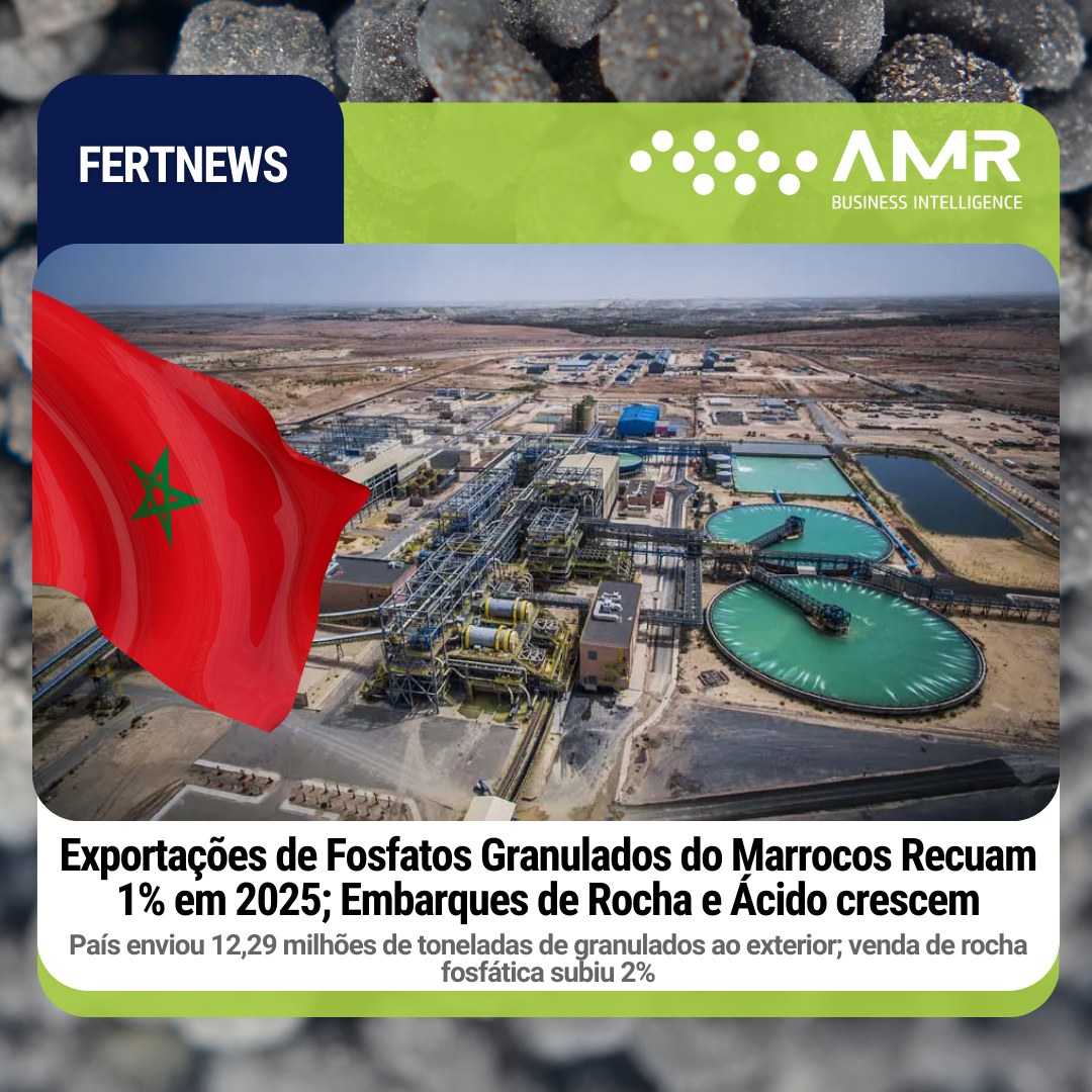 Capa da postagem Exportações de Fosfatos Granulados do Marrocos Recuam 1% em 2025; Embarques de Rocha e Ácido crescem