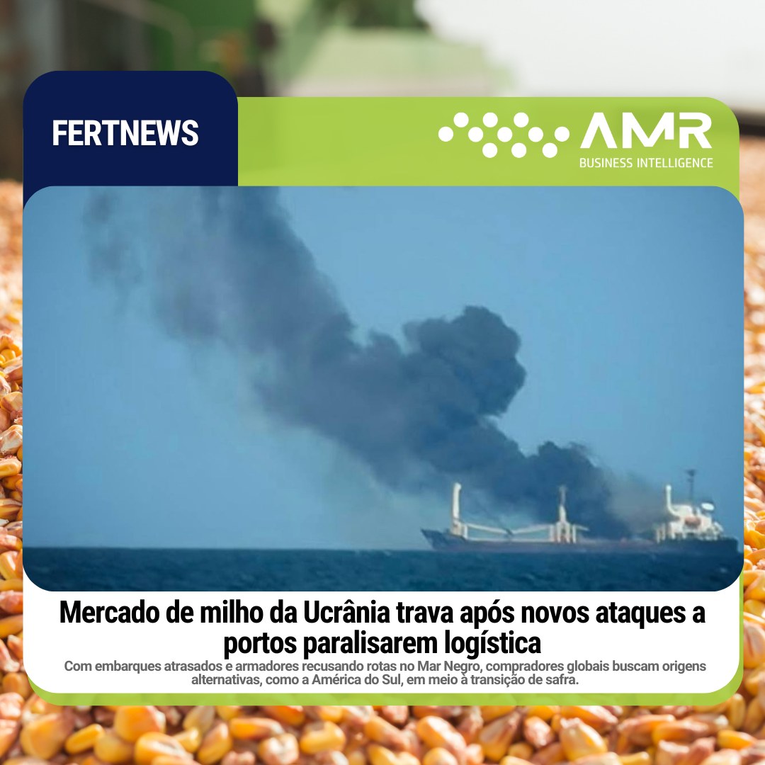 Capa da postagem Mercado de milho da Ucrânia trava após novos ataques a portos paralisarem logística
