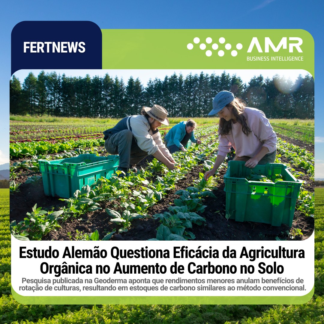 Capa da postagem Estudo Alemão Questiona Eficácia da Agricultura Orgânica no Aumento de Carbono no Solo