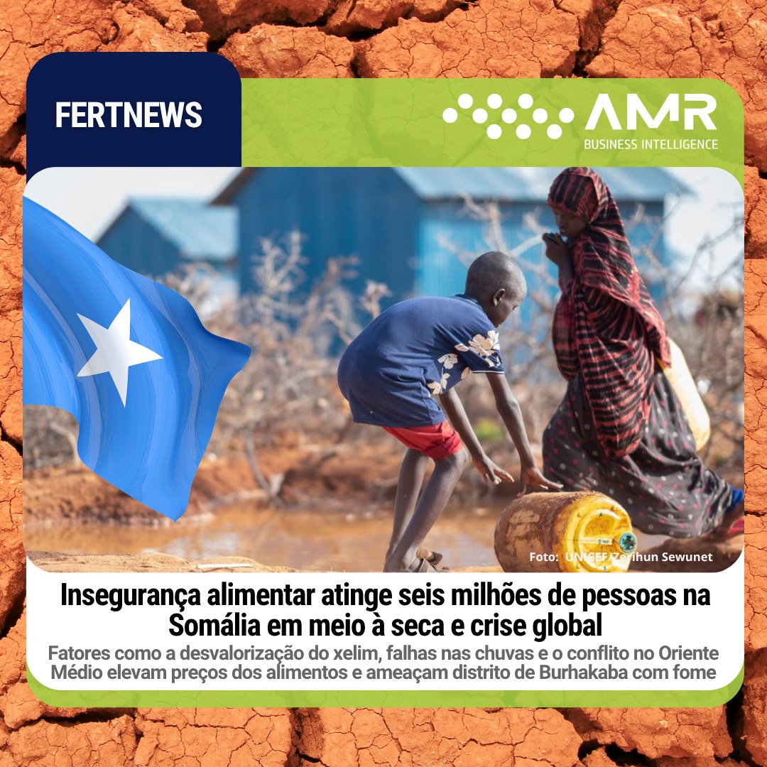Capa da postagem Insegurança alimentar atinge seis milhões de pessoas na Somália em meio à seca e crise global