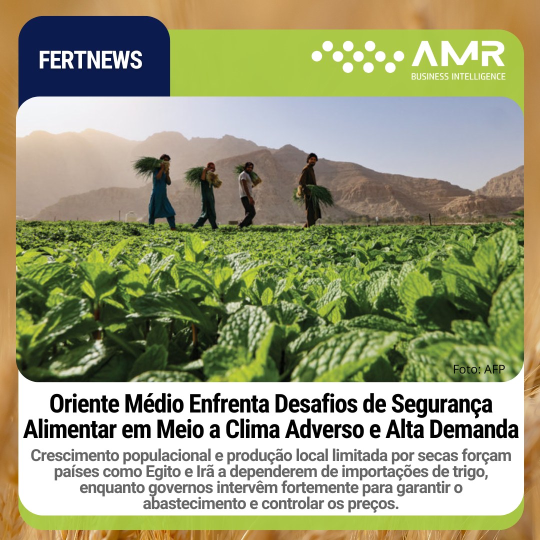 Capa da postagem Oriente Médio Enfrenta Desafios de Segurança Alimentar em Meio a Clima Adverso e Alta Demanda